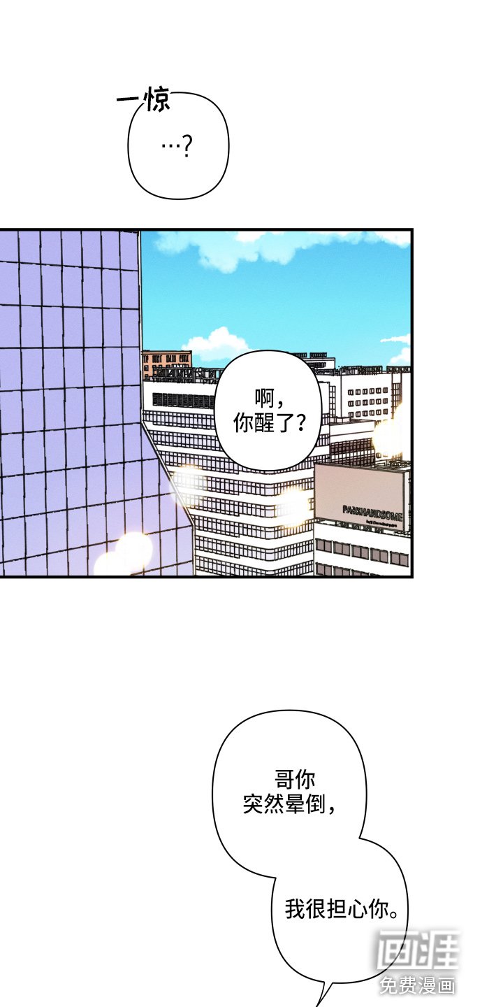 第62章：【番外】搞什么