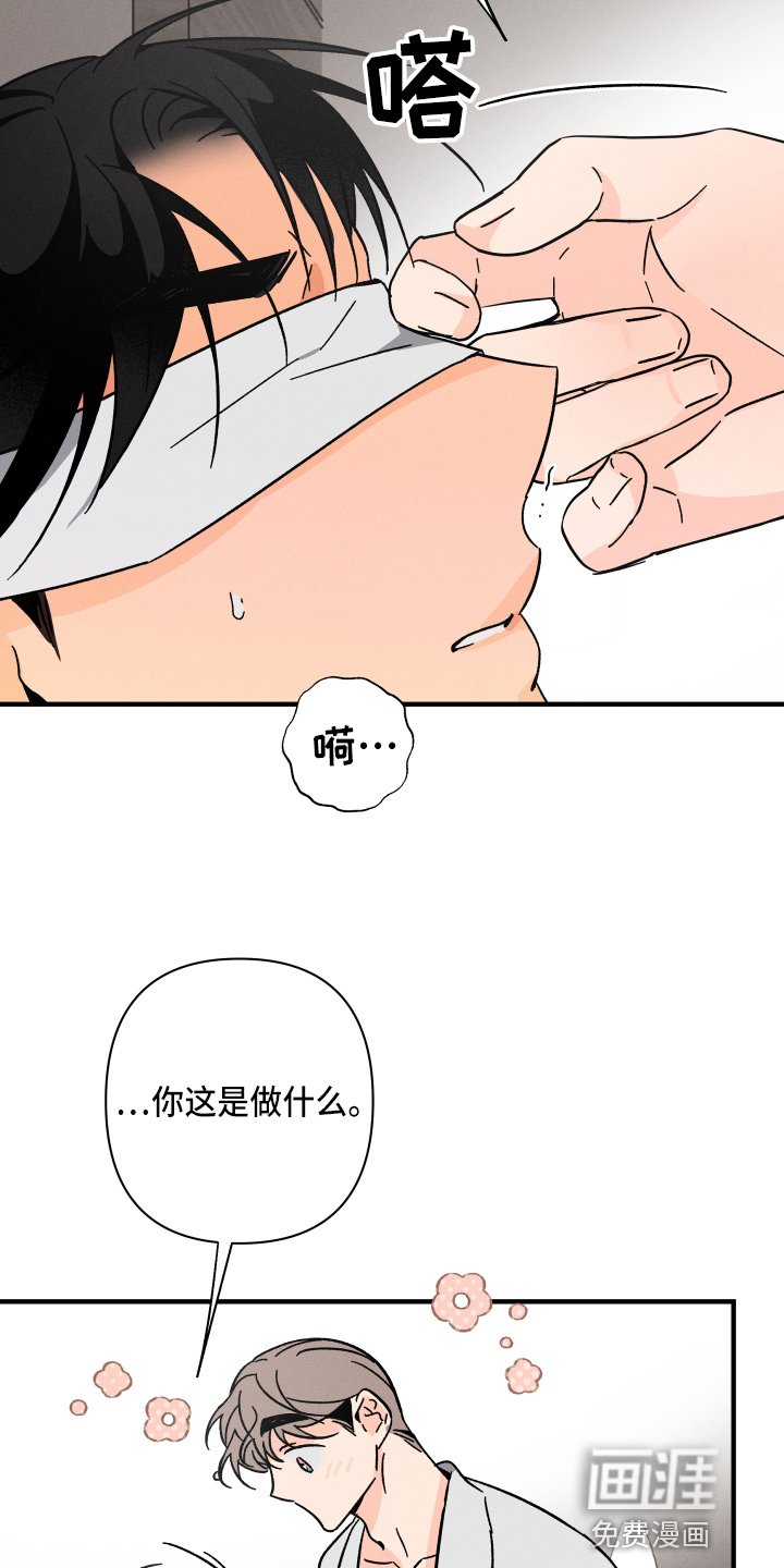 第62章：【番外】搞什么