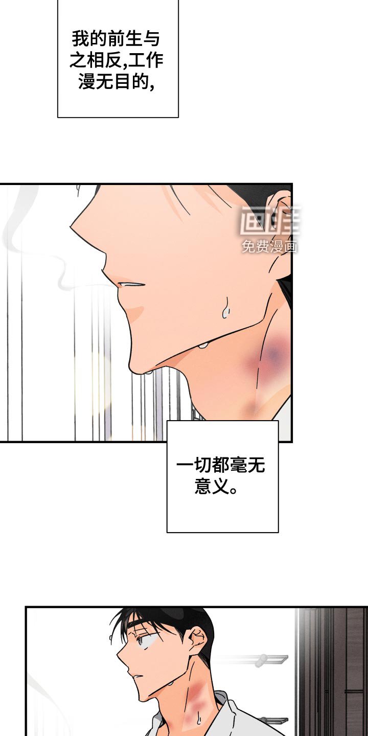 第64章：【番外】守护对方