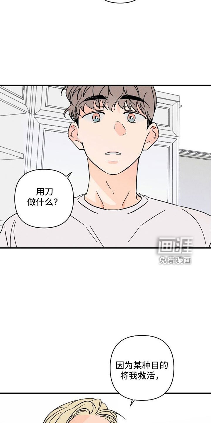 第65章：【番外】付出了什么