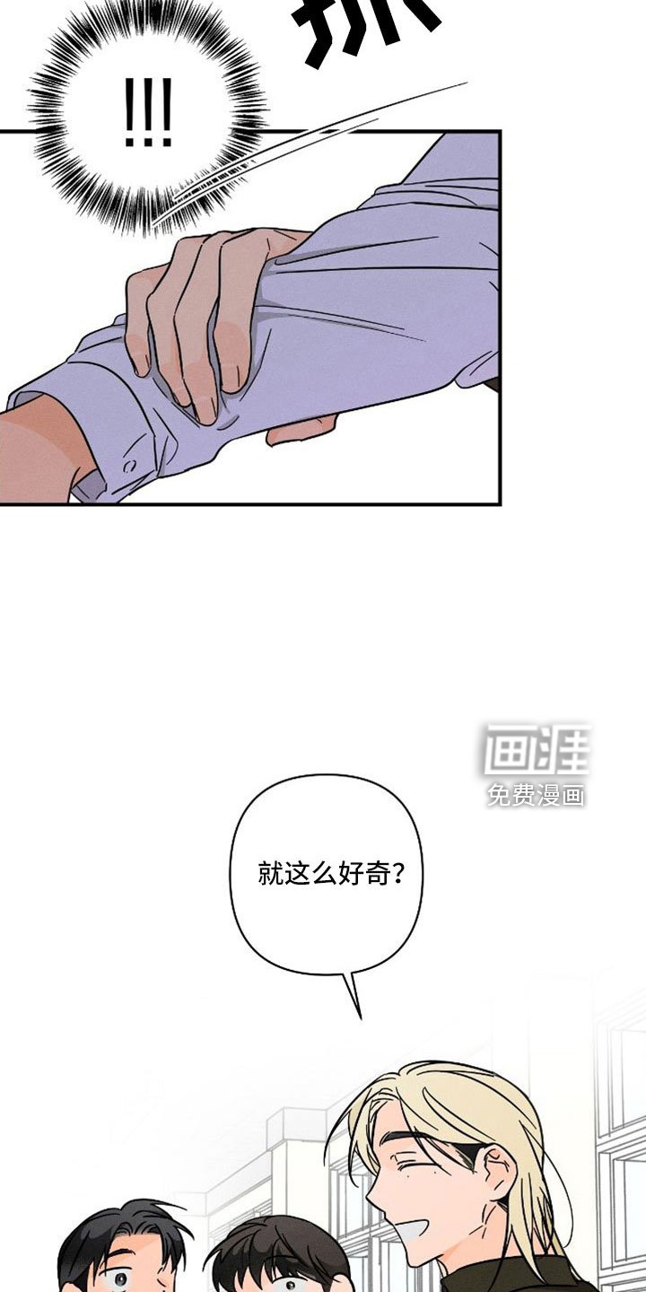 第66章：【番外】尽管问