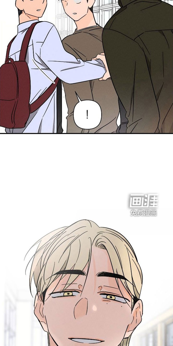 第66章：【番外】尽管问