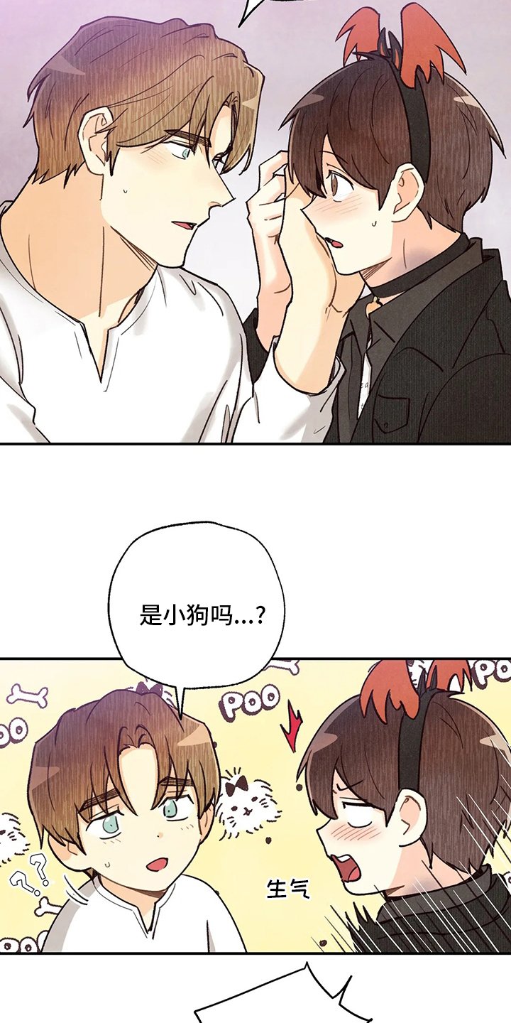 第114章：全部
