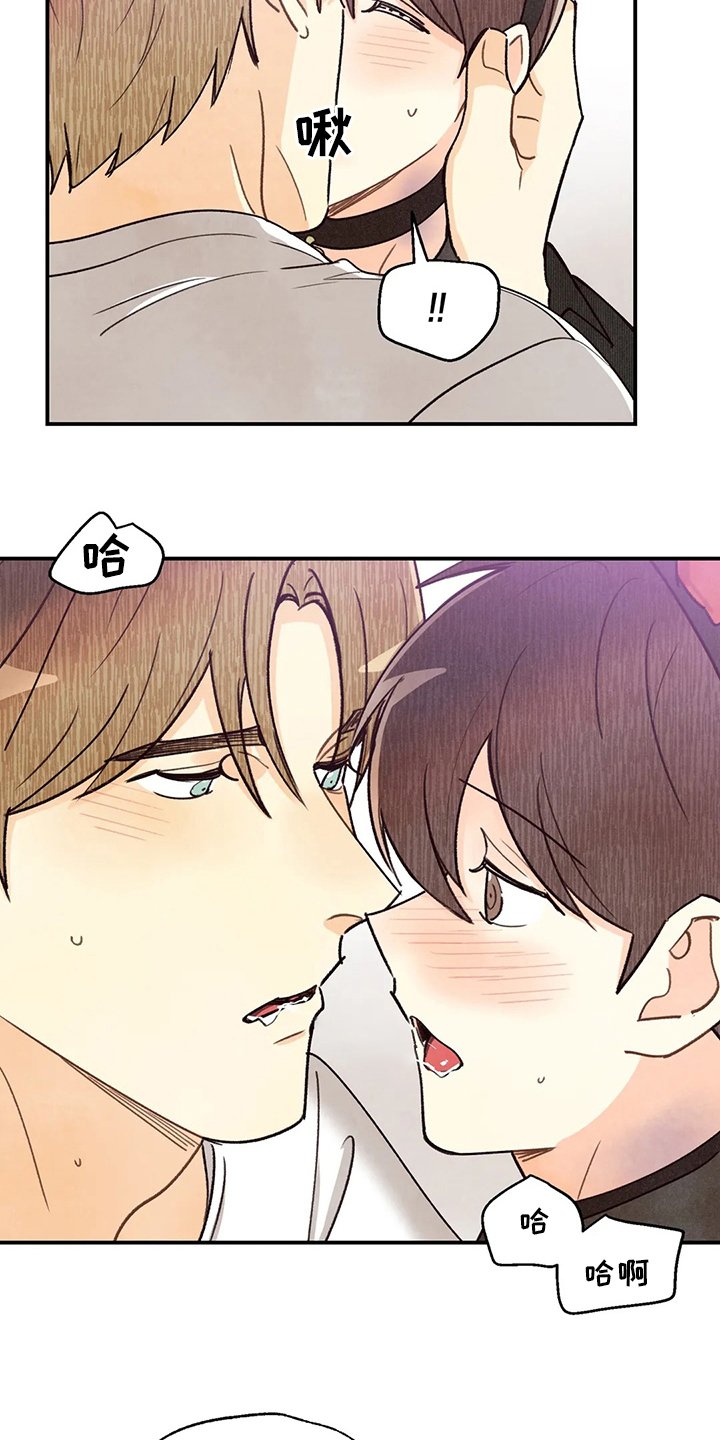 第114章：全部