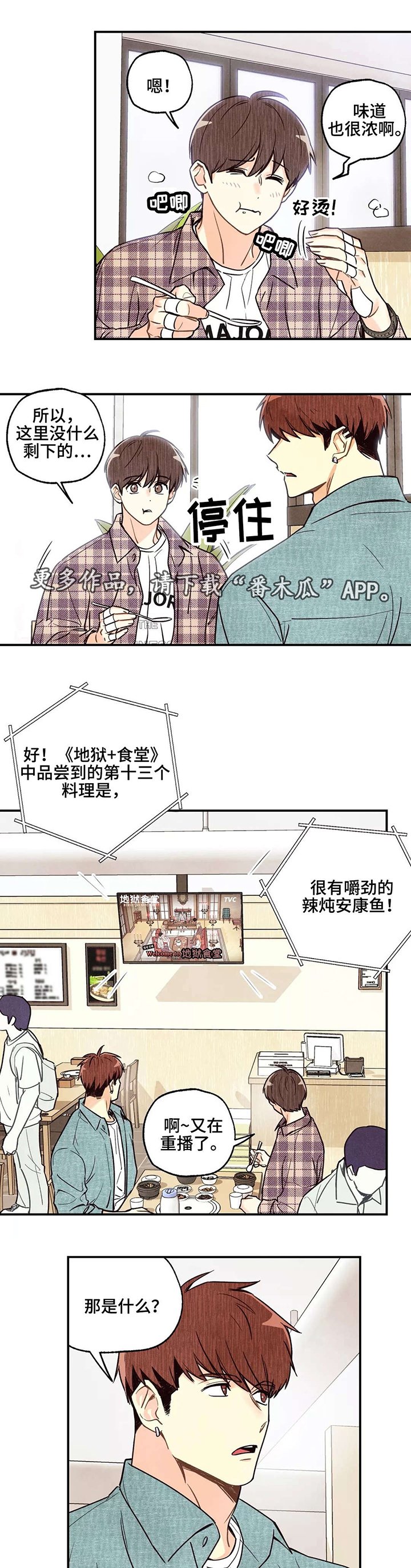 第13章：美食节目