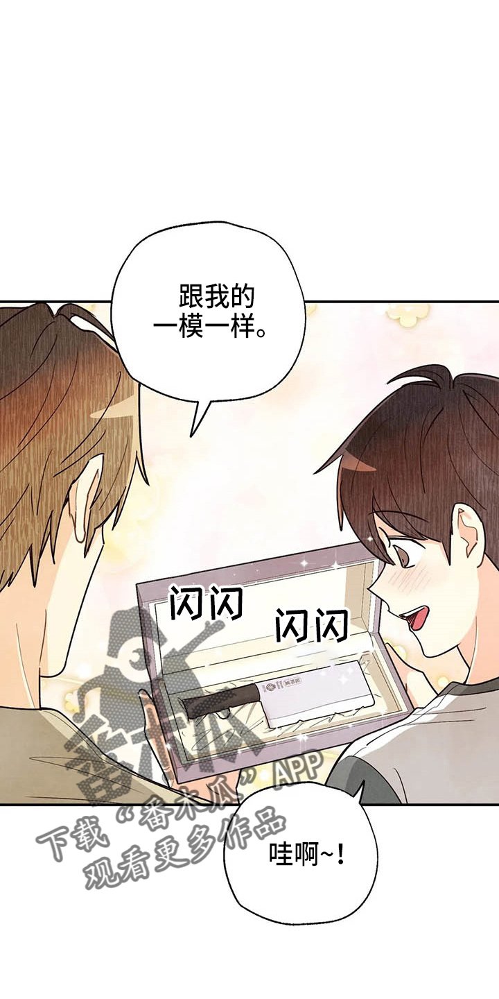 第132章：够多了
