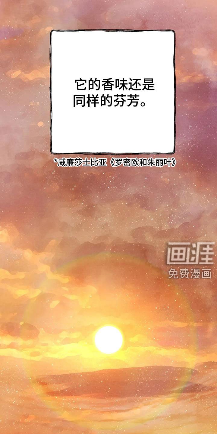 第134章：许愿（完结）
