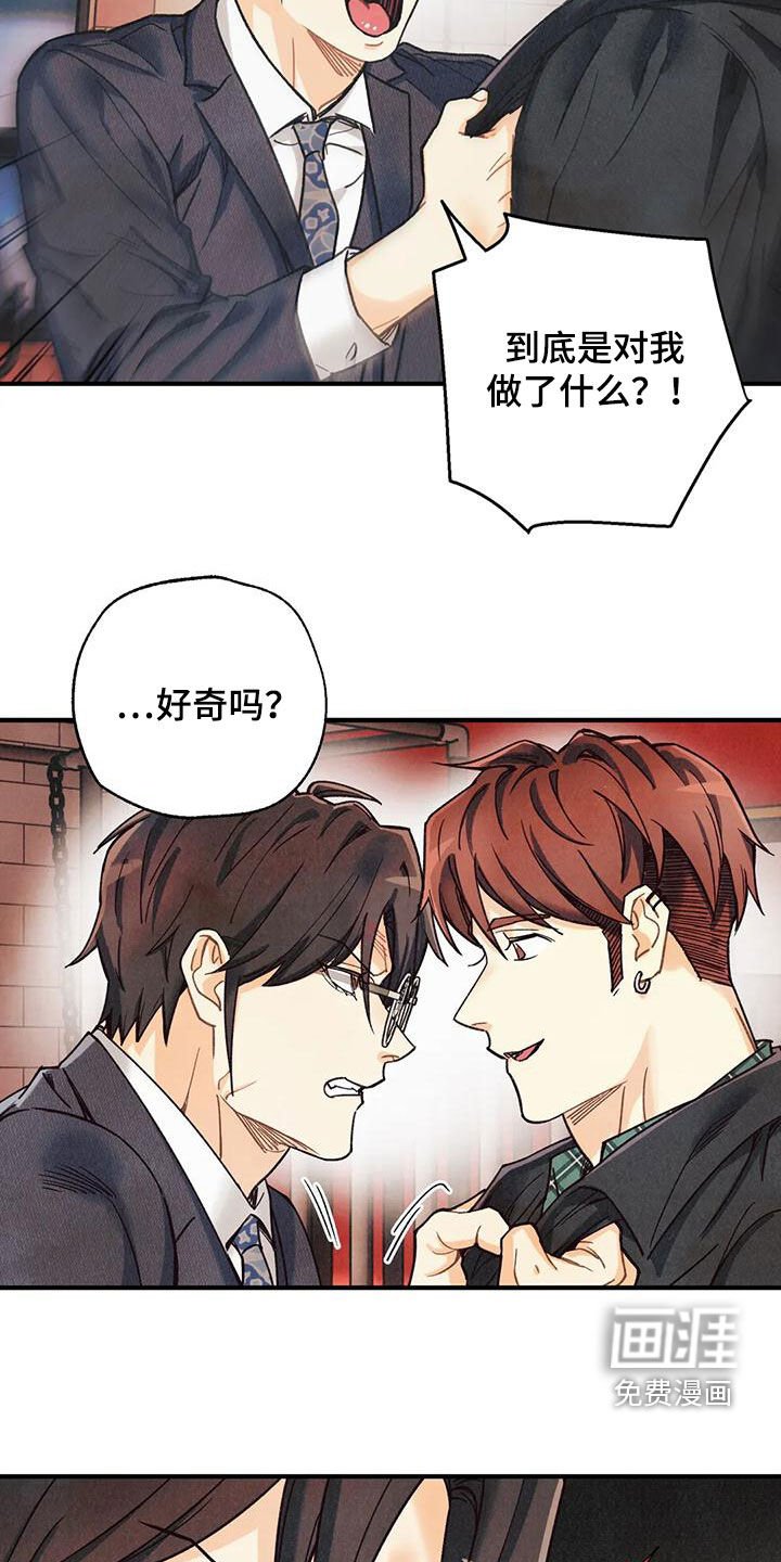 第137章：【番外】命运伴侣