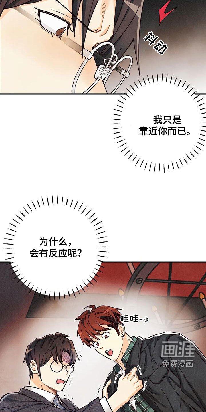 第137章：【番外】命运伴侣