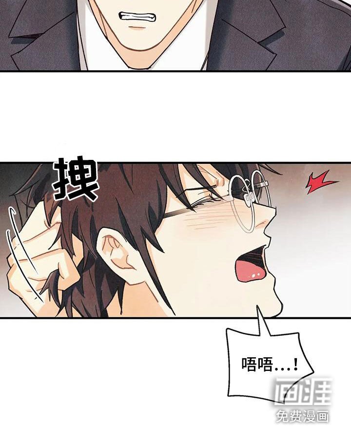 第137章：【番外】命运伴侣
