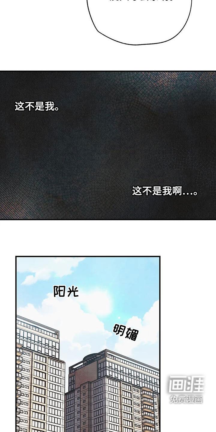 第137章：【番外】命运伴侣