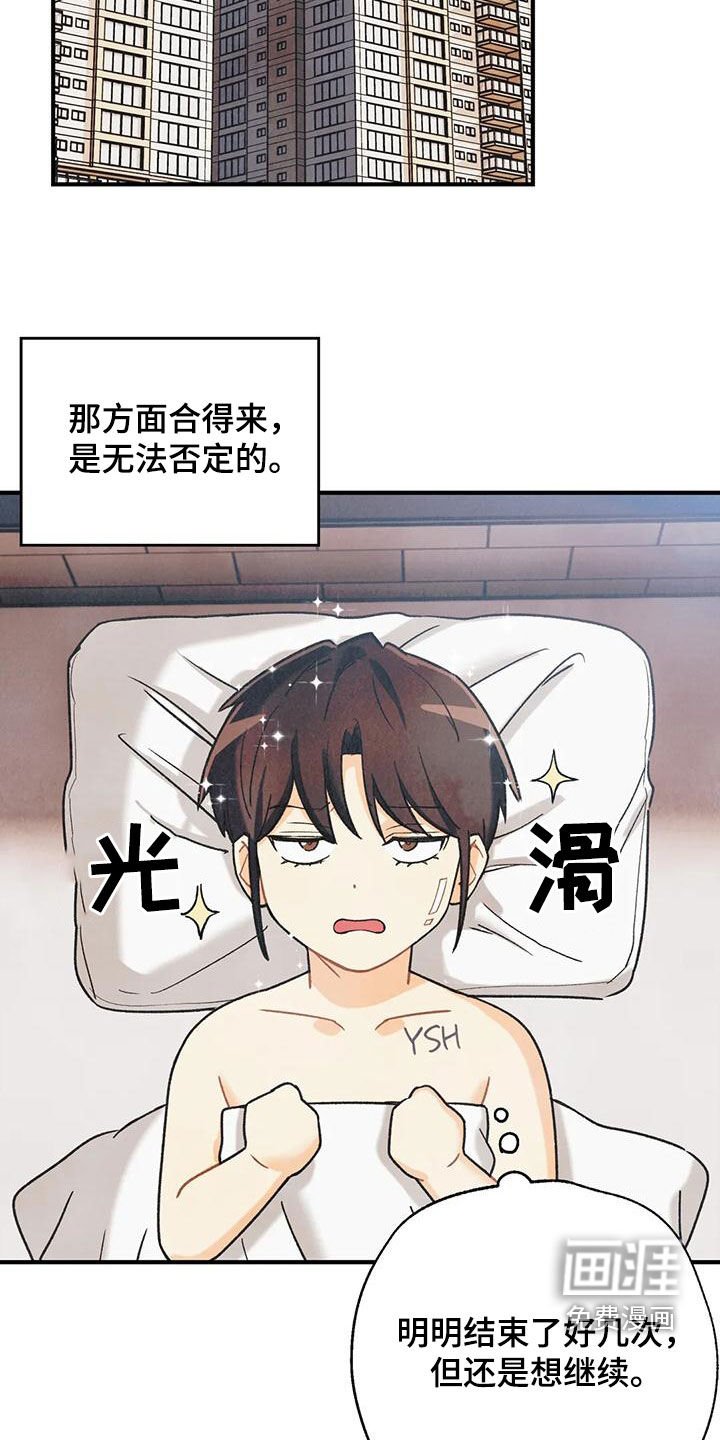 第137章：【番外】命运伴侣