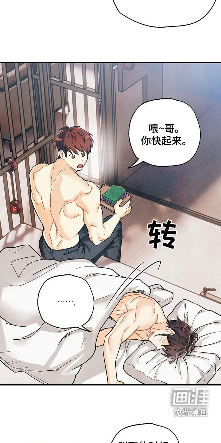 第137章：【番外】命运伴侣