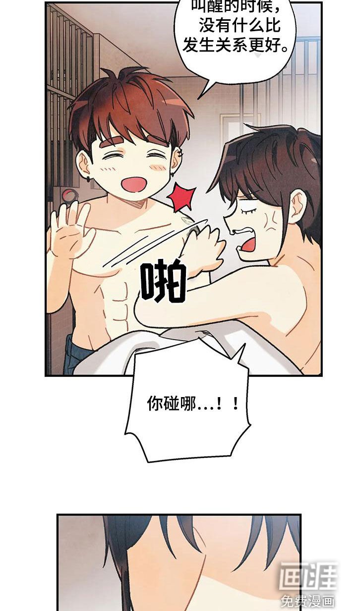 第137章：【番外】命运伴侣