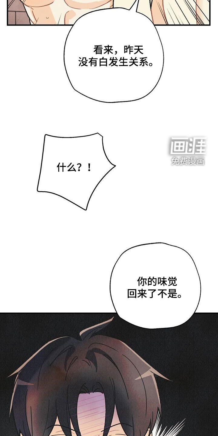 第137章：【番外】命运伴侣