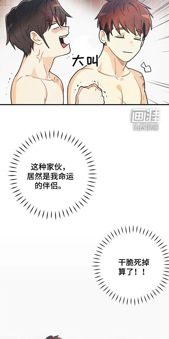 第137章：【番外】命运伴侣