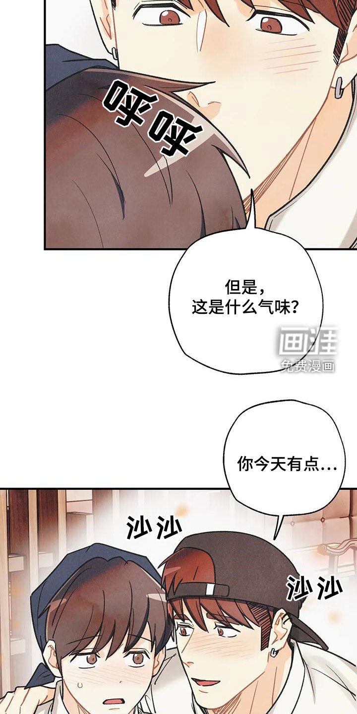 第139章：【番外】变成欧米伽