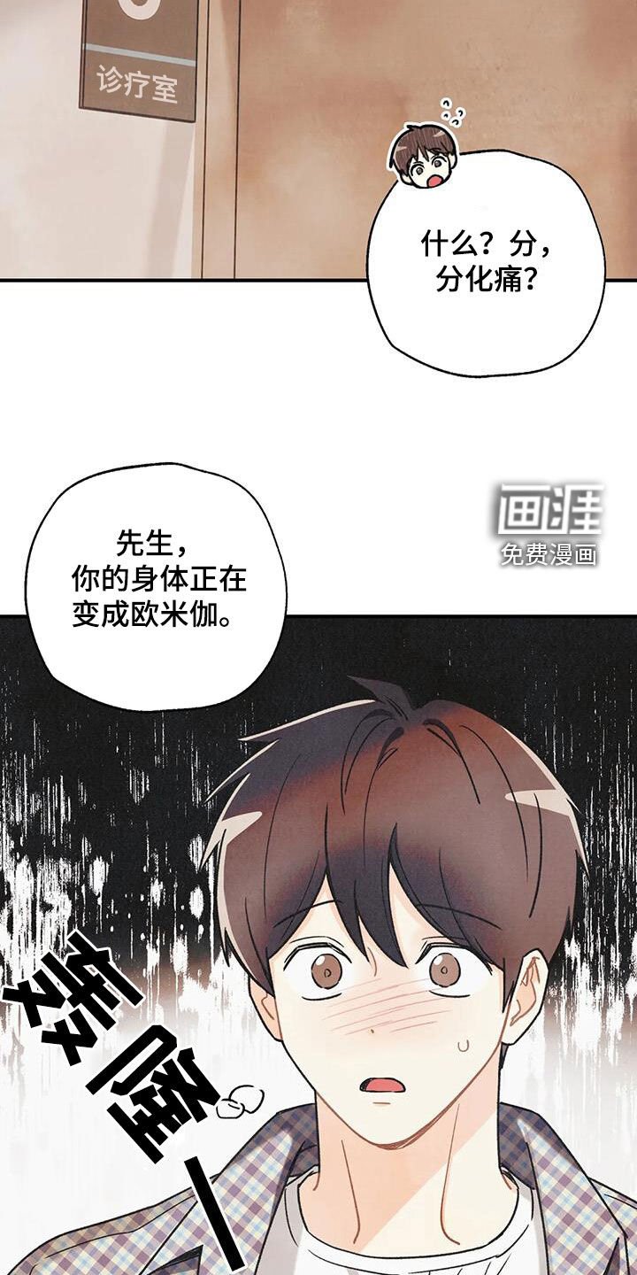 第139章：【番外】变成欧米伽