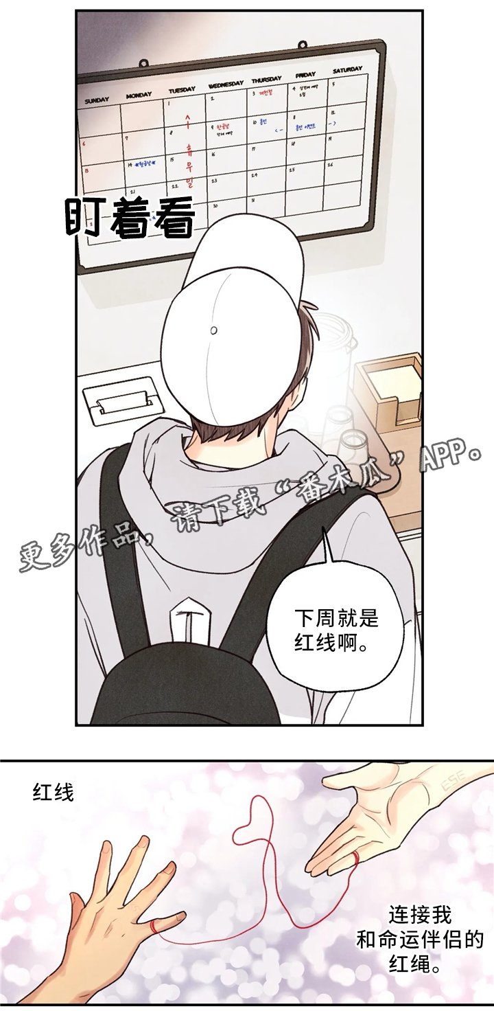 第50章：刻印在哪里