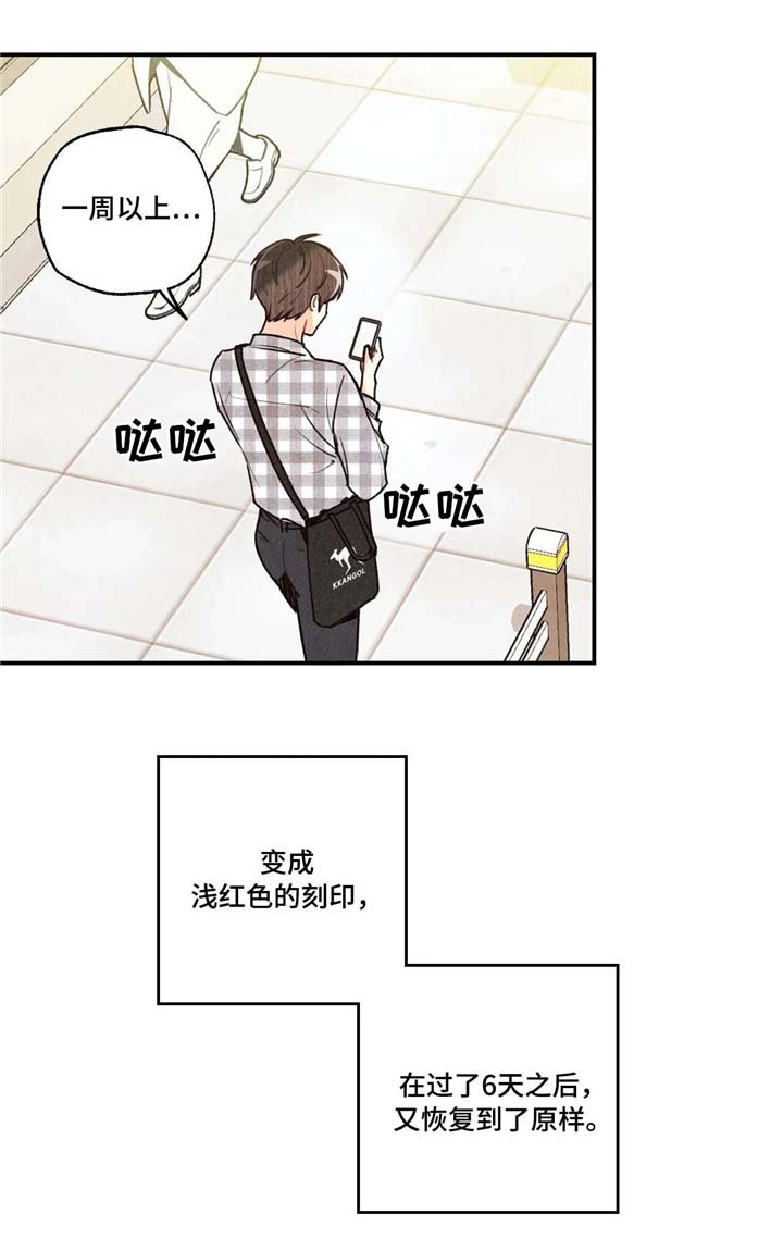 第56章：担忧