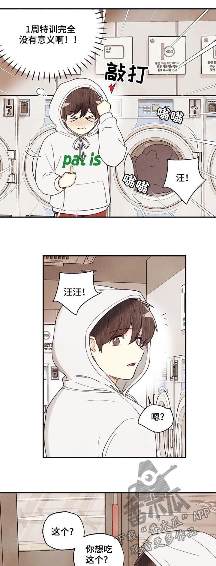 第60章：旺财