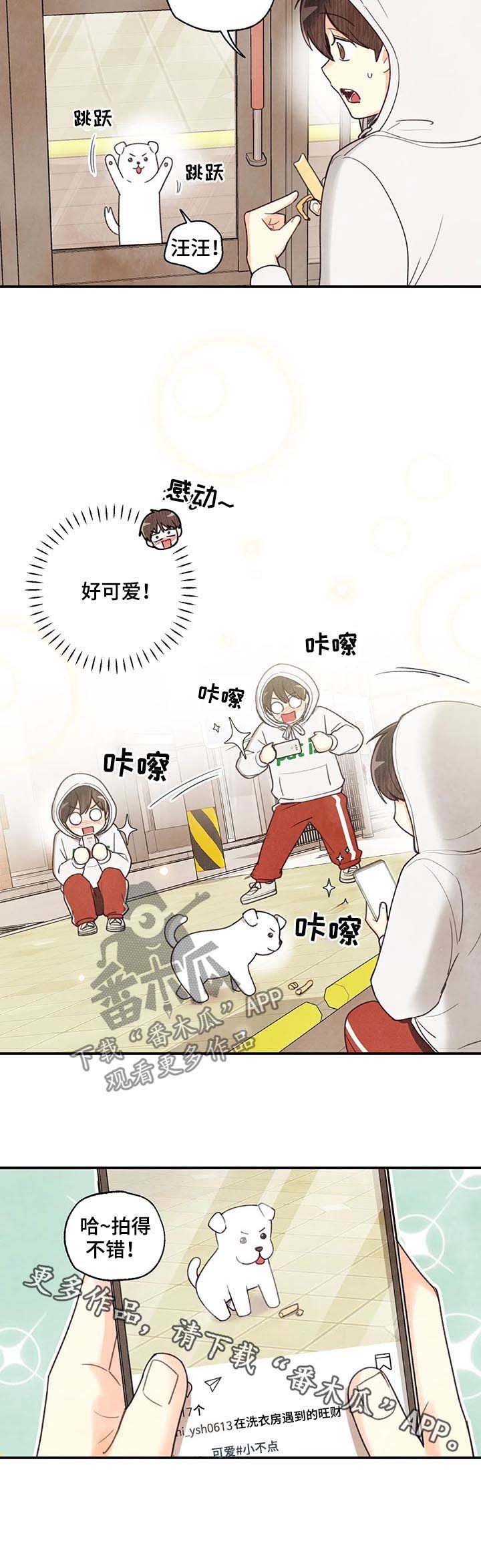 第60章：旺财