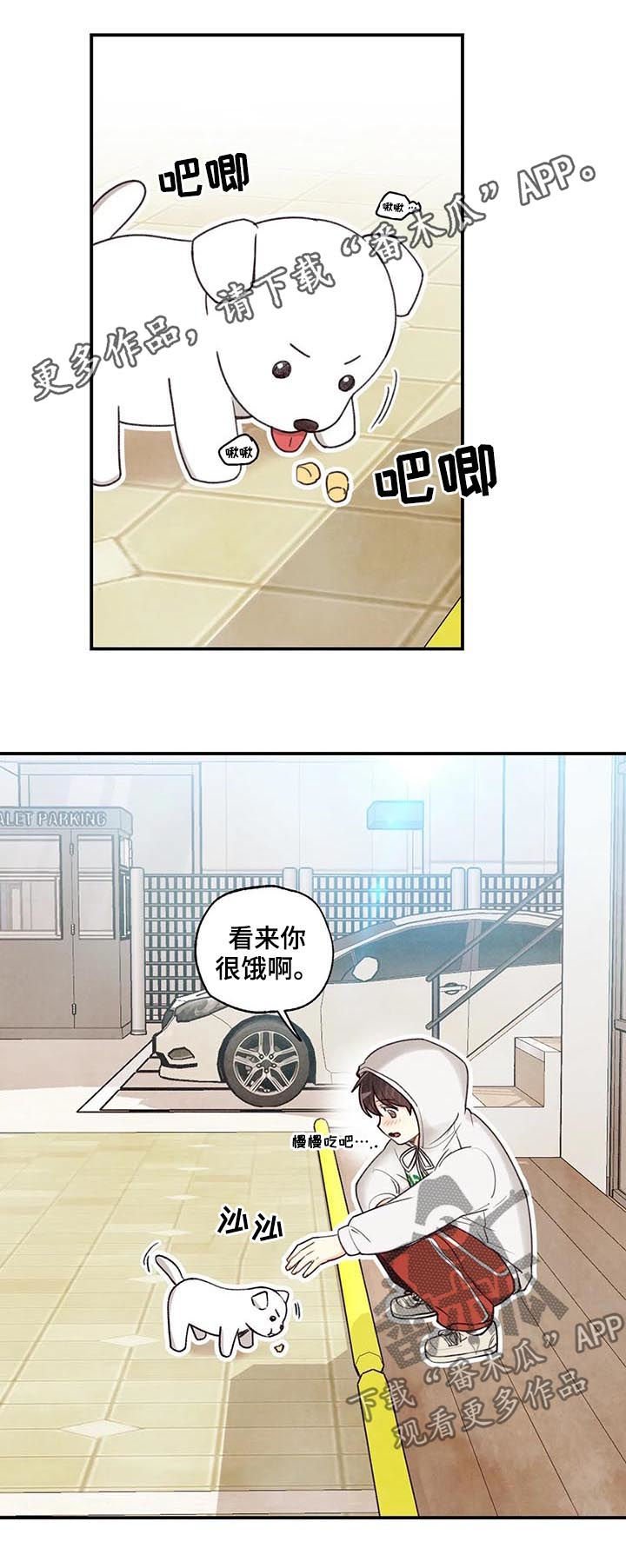 第61章：红线日