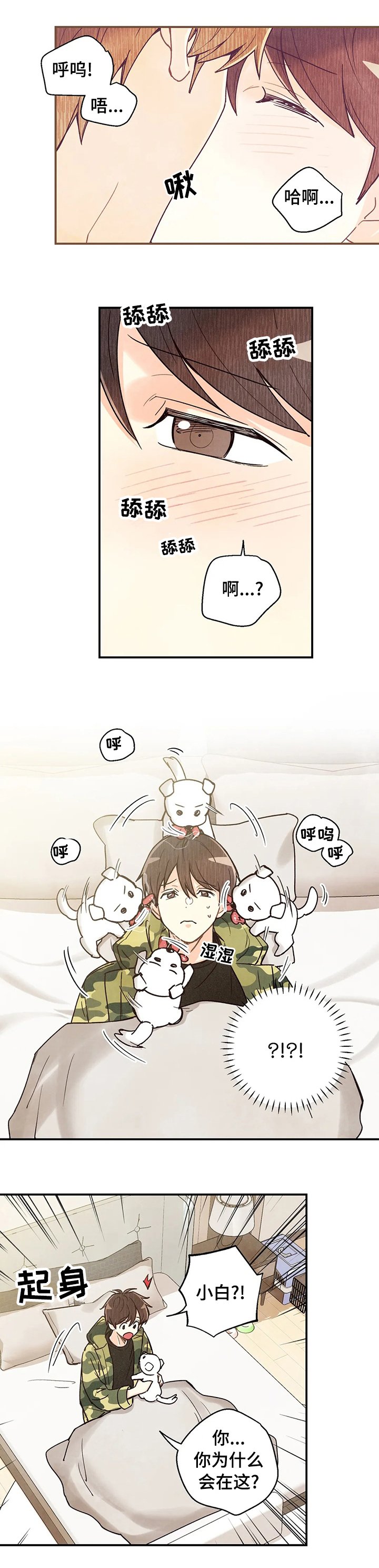 第95章：车祸那次的狗狗