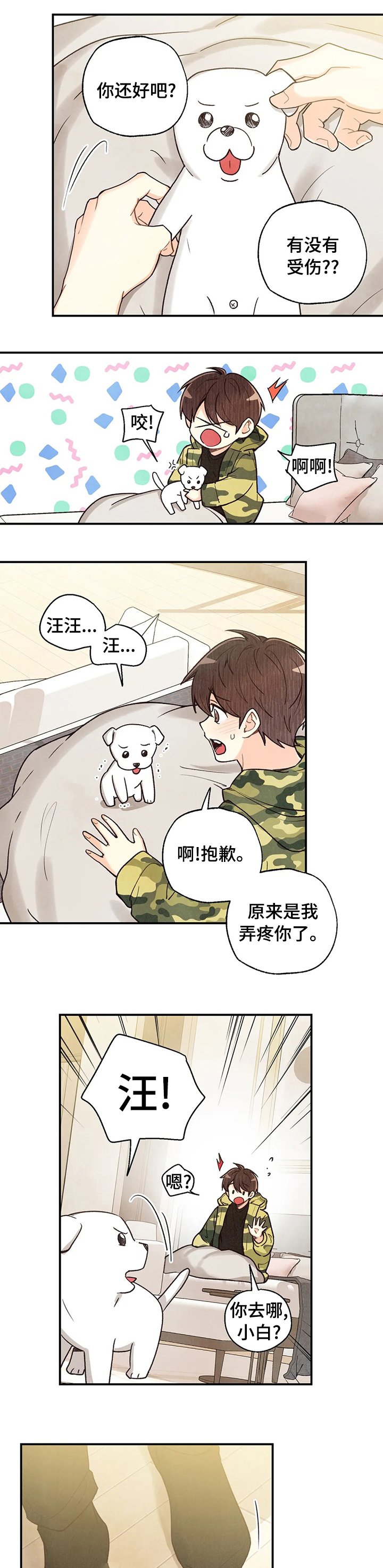 第95章：车祸那次的狗狗