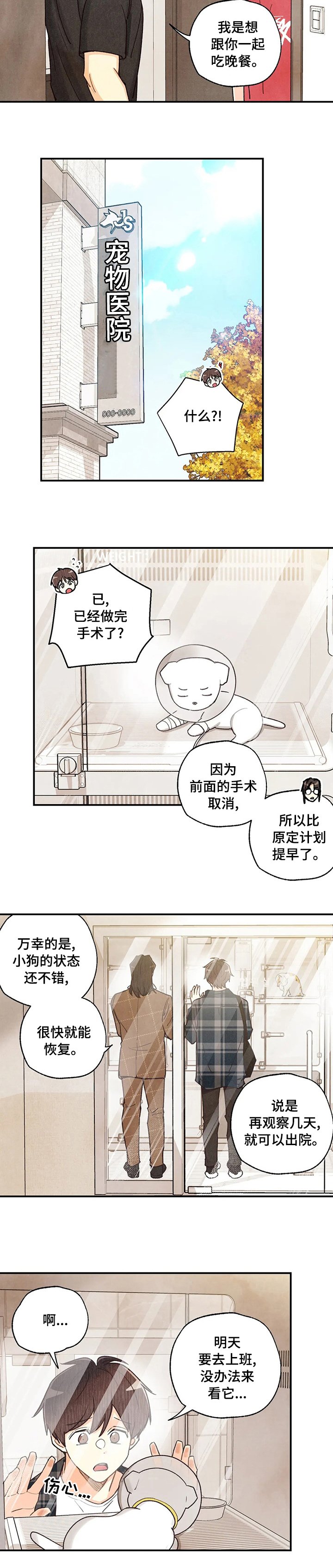 第97章：手术