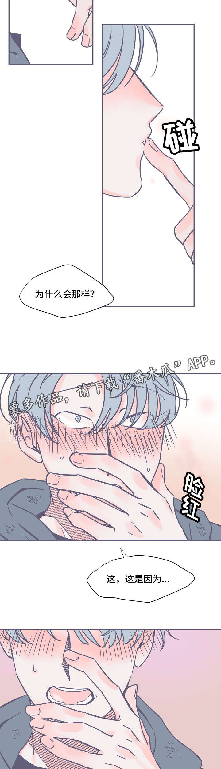 第4章：牙齿