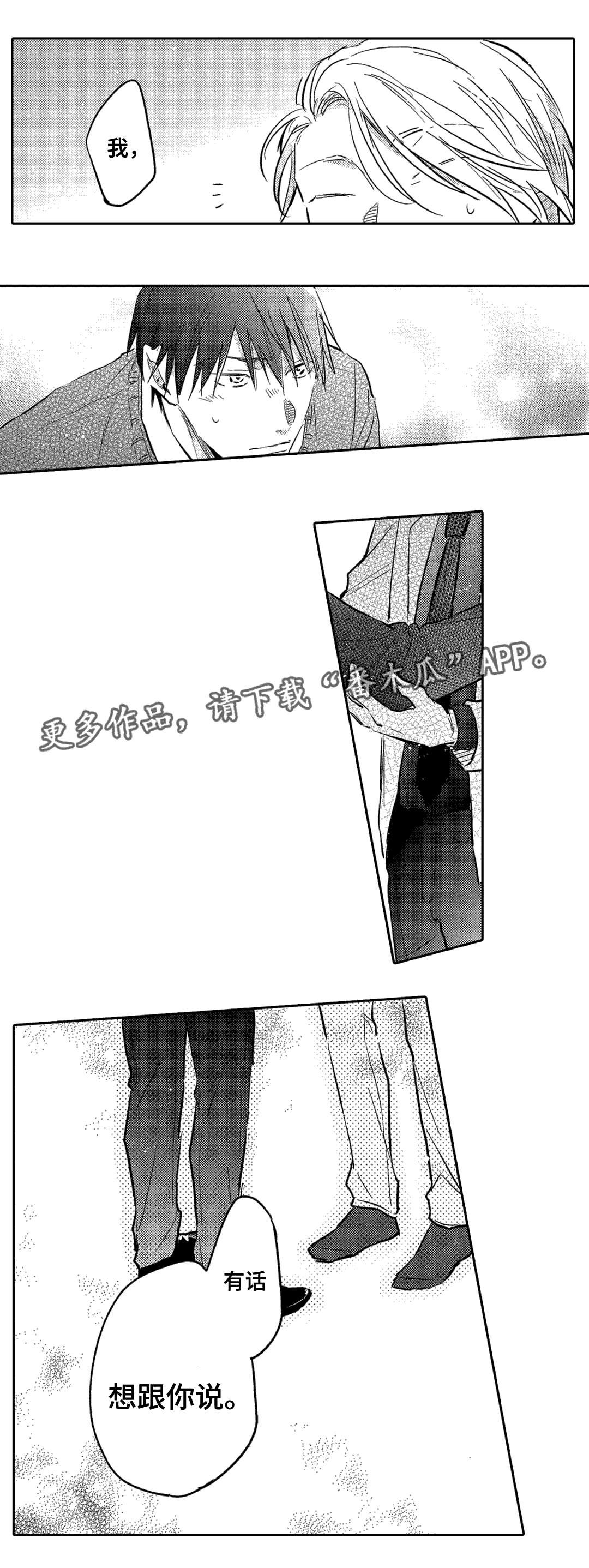 第13章：解释