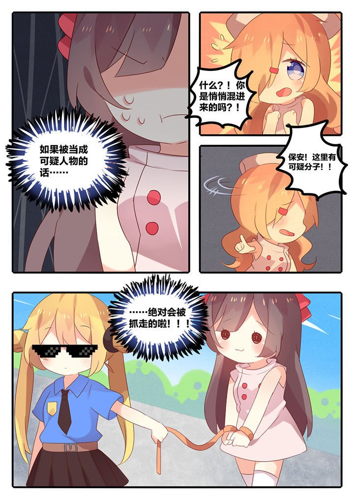 第29章：