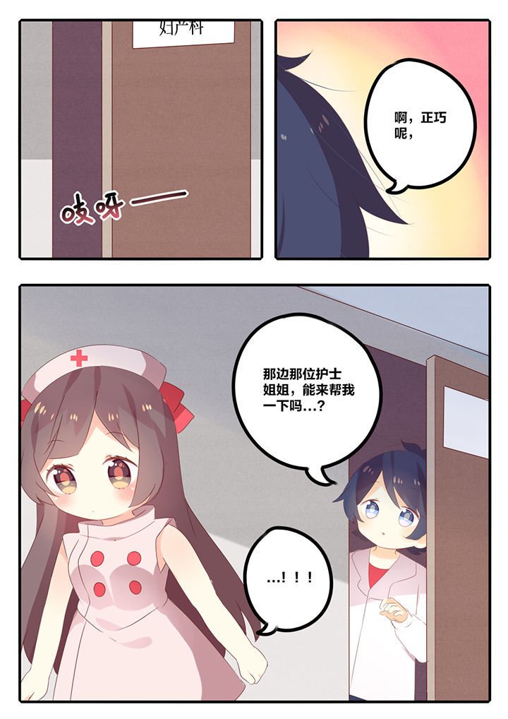 第31章：