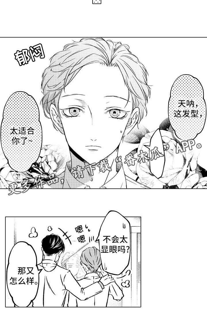 第17章：新发型
