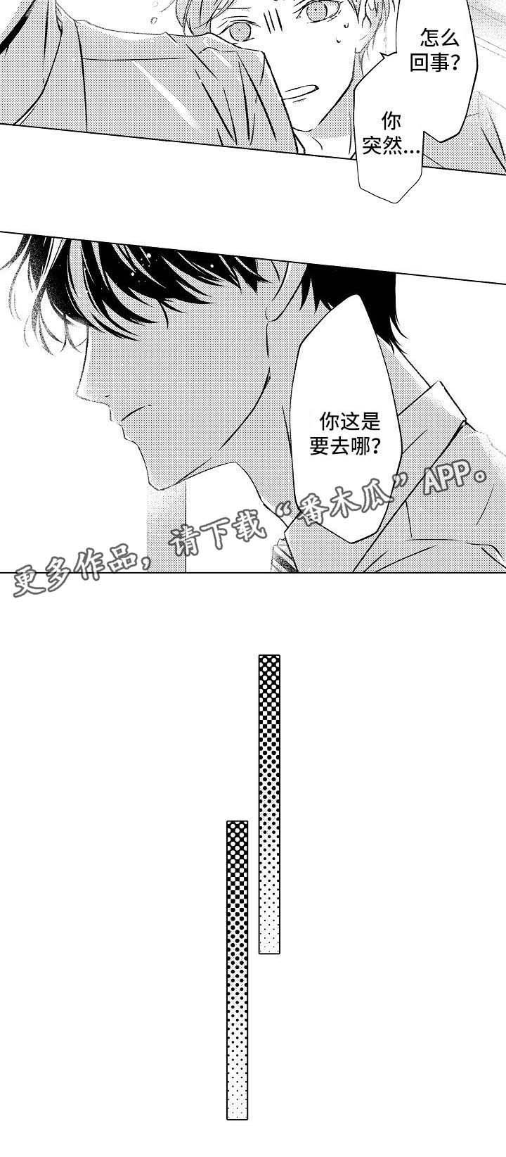 第17章：新发型