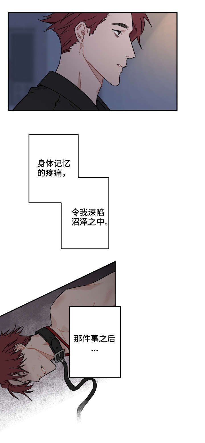第15章：急性子