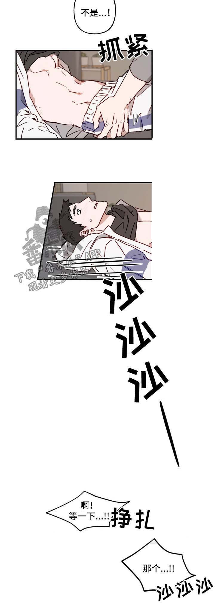 第39章：老板回来