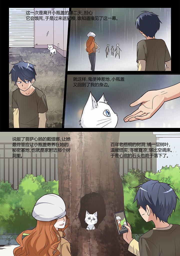 第20章：