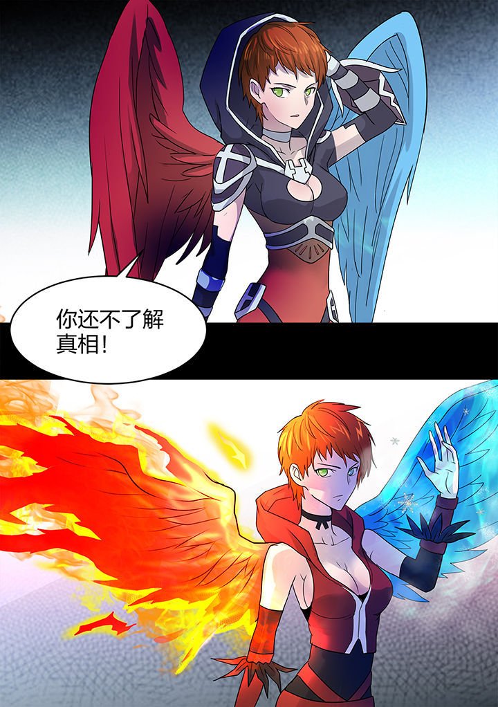第204章：