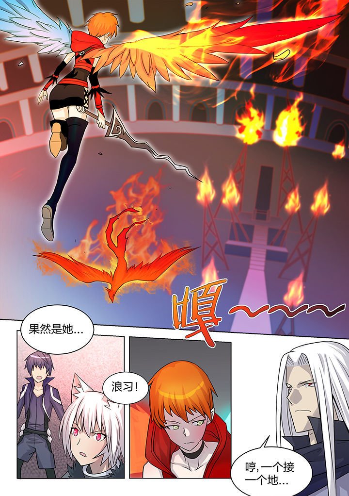第204章：