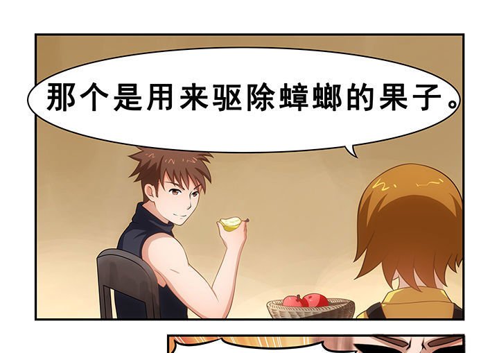 第20章：