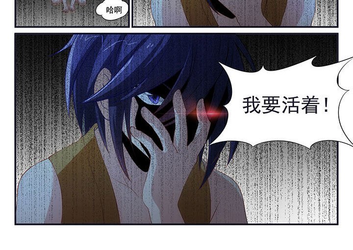 第5章：