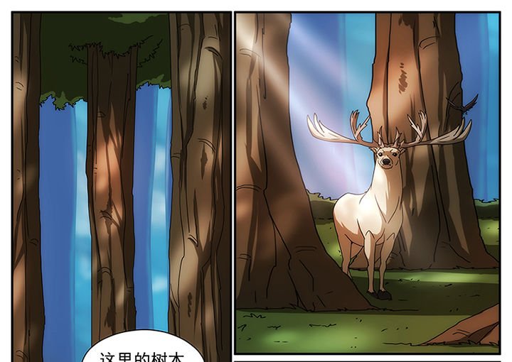 第10章：