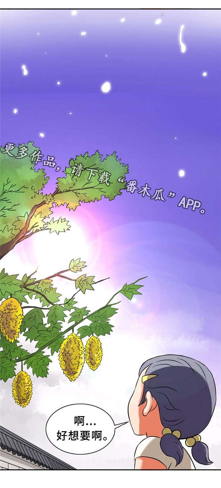第11章：最后的礼物