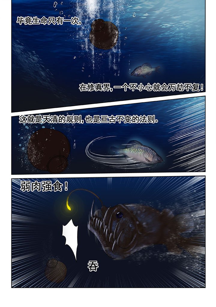 第11章：