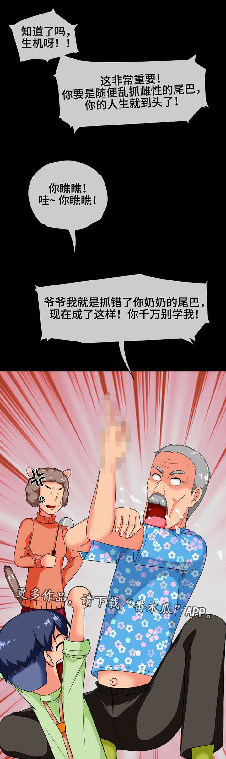 第15章：原则