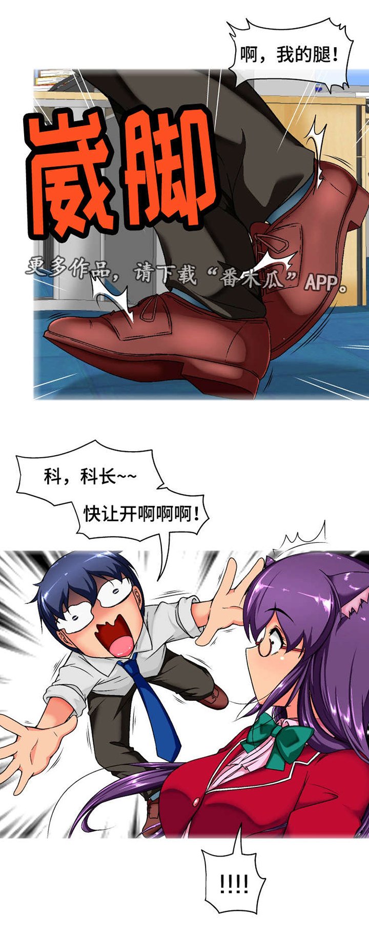 第5章：尾巴