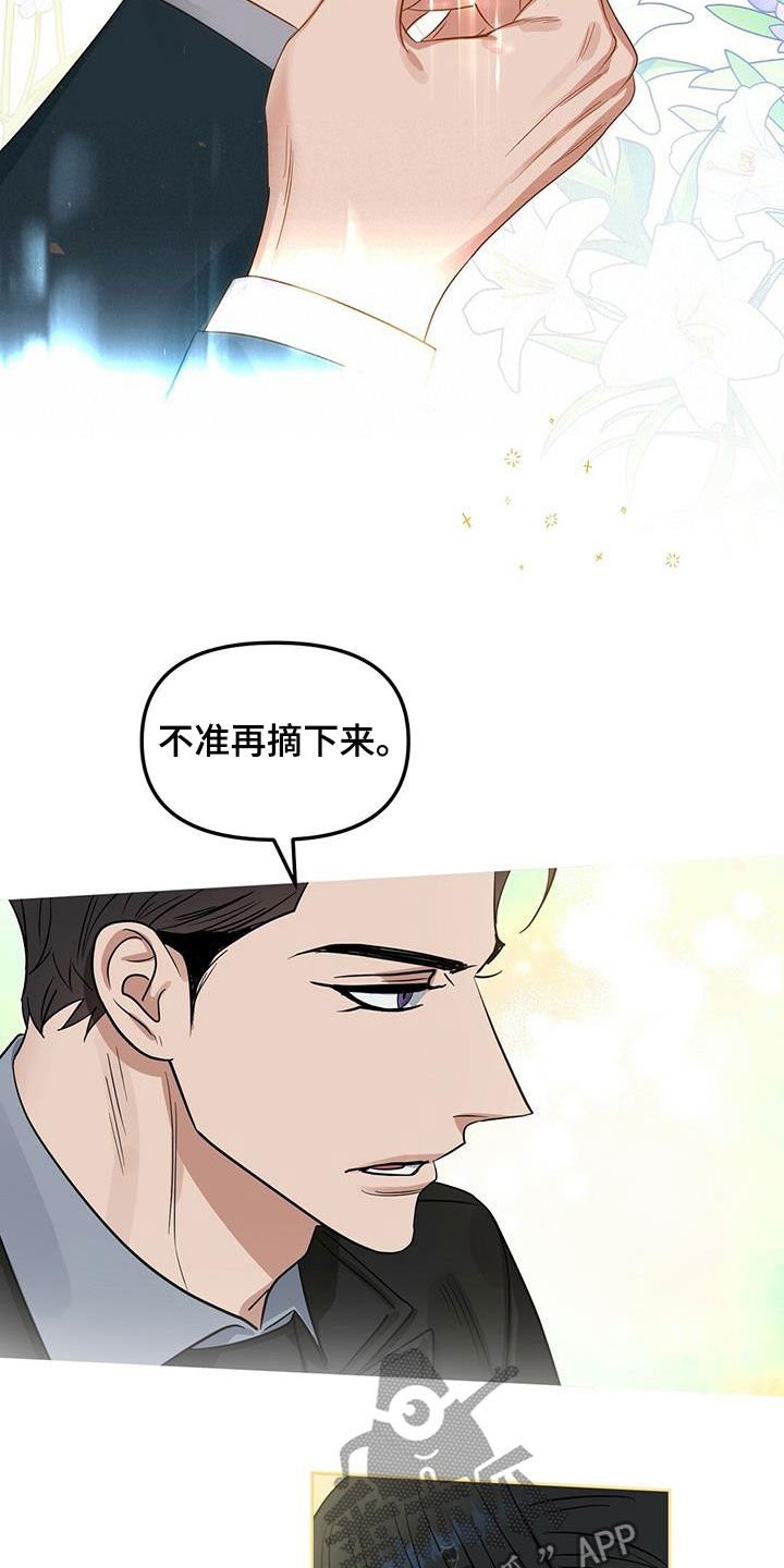 第118章：【番外】买戒指