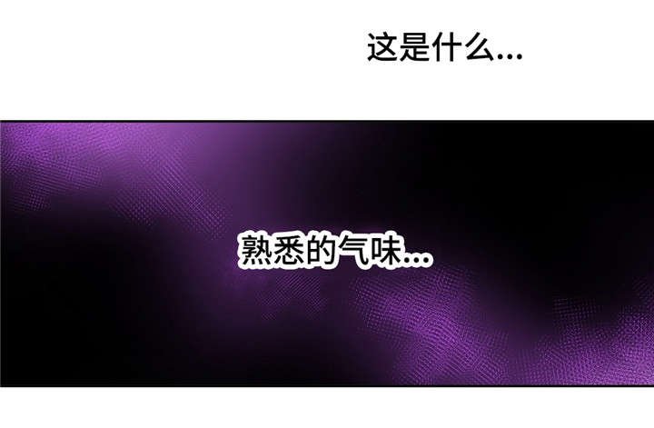 第12章：噩梦